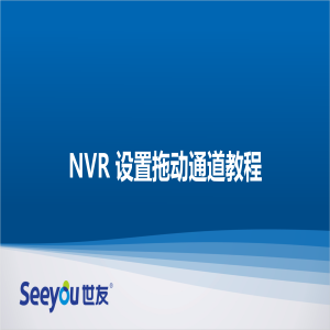 Z6尊龙官方网站官网入口 NT NVR设置拖动通道教程